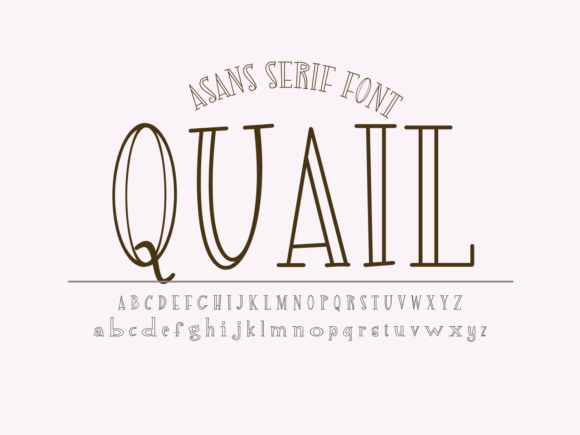 Quail: A Playful Font for Modern Design